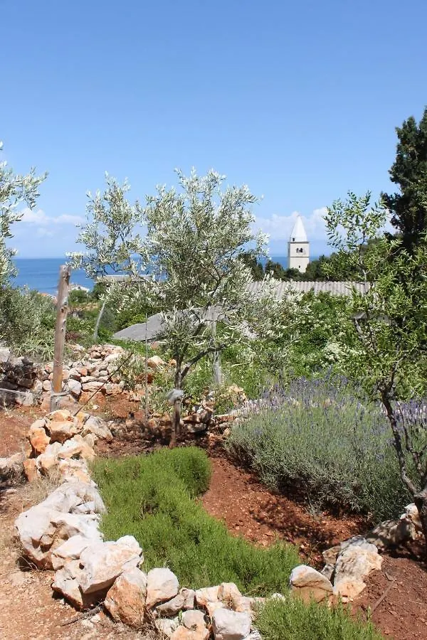 Apartment Mali Losinj 7879B Croaţia